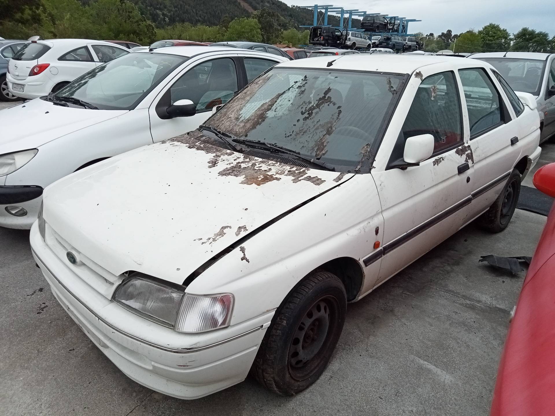 TAMBOR FRENO TRASERO / 1989888 PARA FORD ESCORT BERLINA/TURNIER BRAVO LIM. - Imagen 3 de 7
