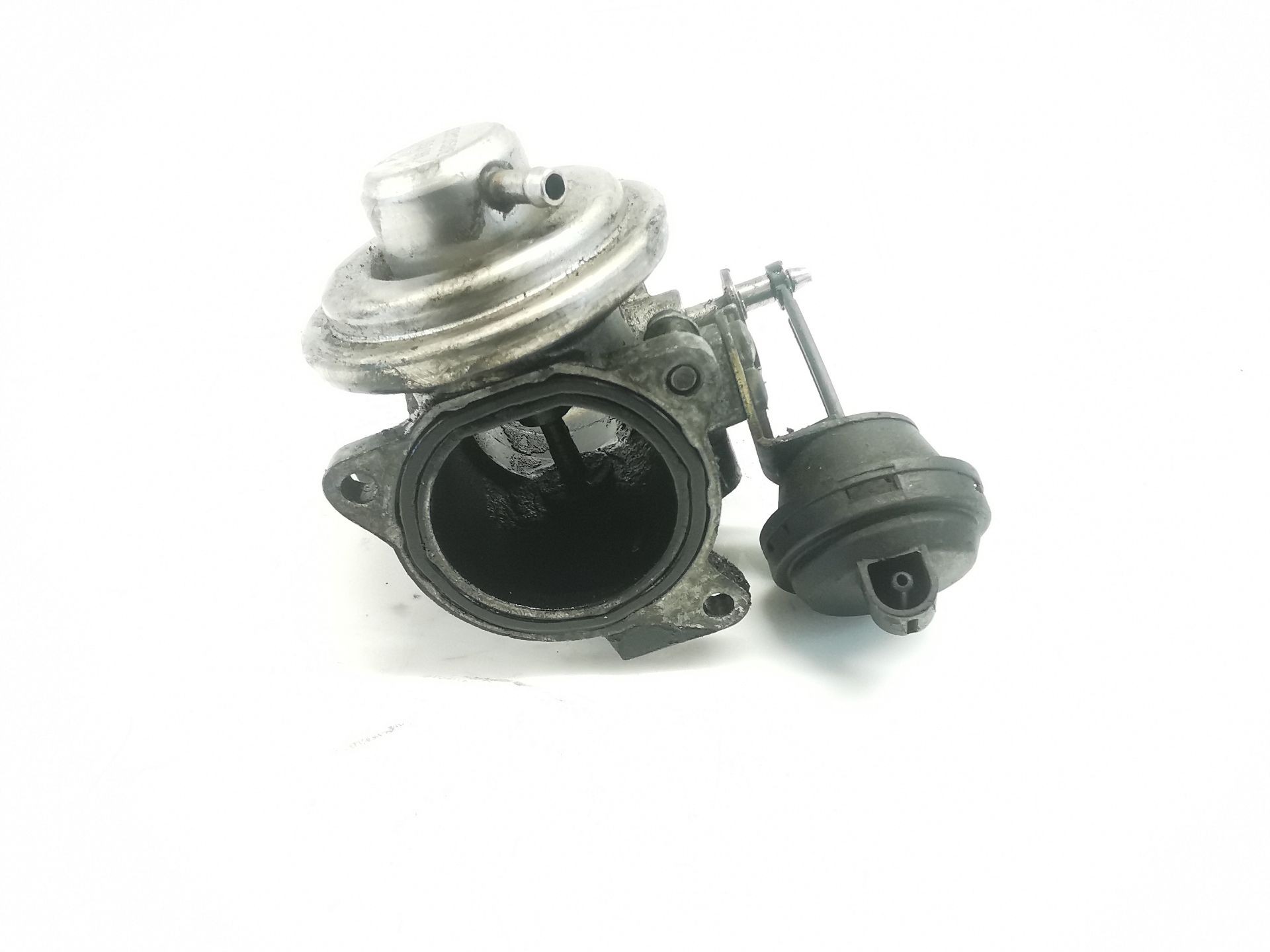 VÁLVULA EGR VOLKSWAGEN GOLF V BERLINA (1K1) 038131501E 038131501E - Vista 3
